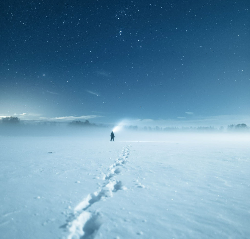 Does True Grit Equal True Intelligence?