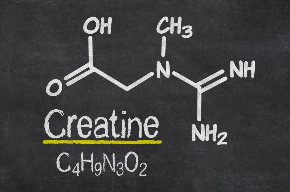 Creatine Basics & Why It’s a Nootropic