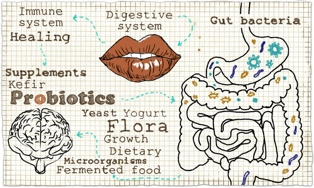 gut probiotic