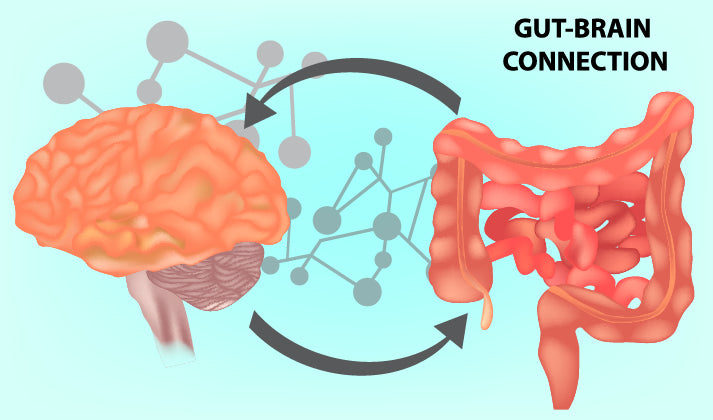 Why What You Eat Affects How You Feel: the Brain-Gut Connection