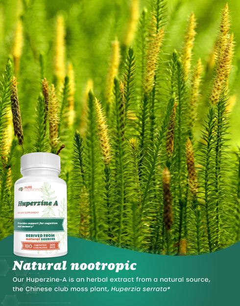 Huperzine A Capsules