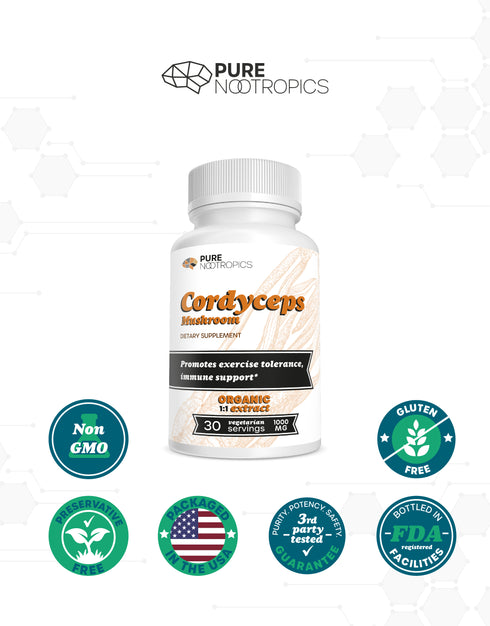 Cordyceps Militaris Mushroom Powder & Capsules