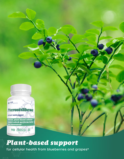 Pterostilbene Capsules or Powder