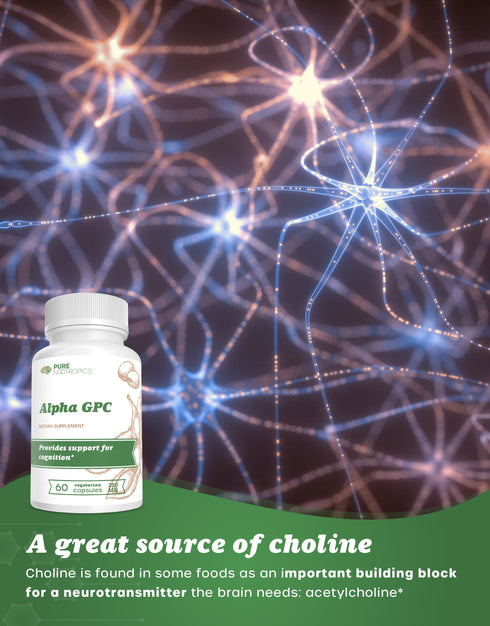 Alpha GPC Capsules or Powder