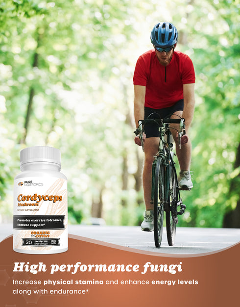 Cordyceps Militaris Mushroom Powder & Capsules