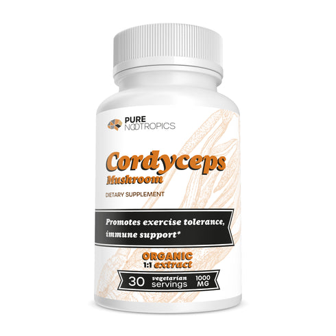 Cordyceps Militaris Mushroom Powder & Capsules