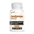 Cordyceps Militaris Mushroom Powder & Capsules