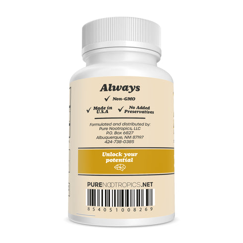 Lion's Mane 8:1 Mushroom Extract Capsules